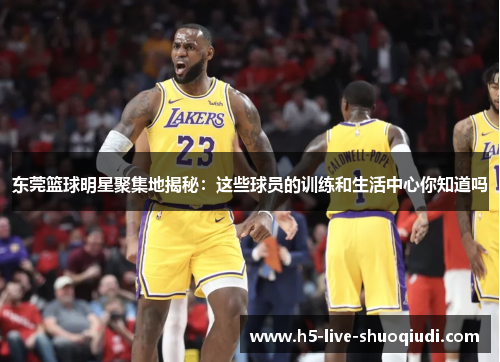 东莞篮球明星聚集地揭秘：这些球员的训练和生活中心你知道吗