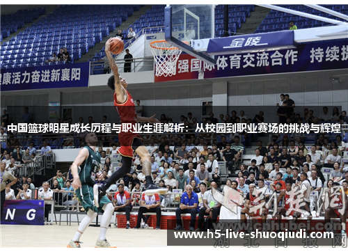 中国篮球明星成长历程与职业生涯解析：从校园到职业赛场的挑战与辉煌