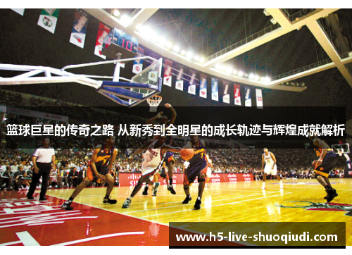 篮球巨星的传奇之路 从新秀到全明星的成长轨迹与辉煌成就解析