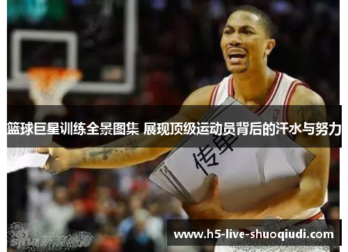 篮球巨星训练全景图集 展现顶级运动员背后的汗水与努力