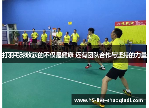 打羽毛球收获的不仅是健康 还有团队合作与坚持的力量