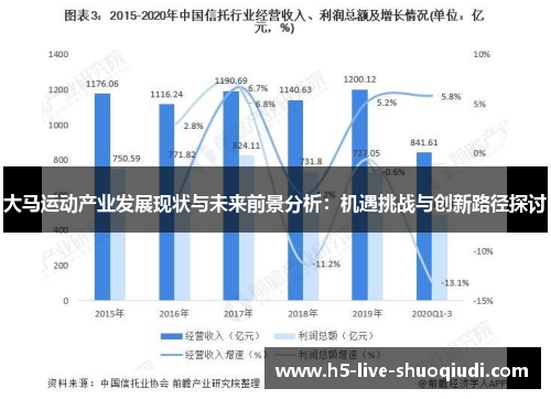 大马运动产业发展现状与未来前景分析：机遇挑战与创新路径探讨